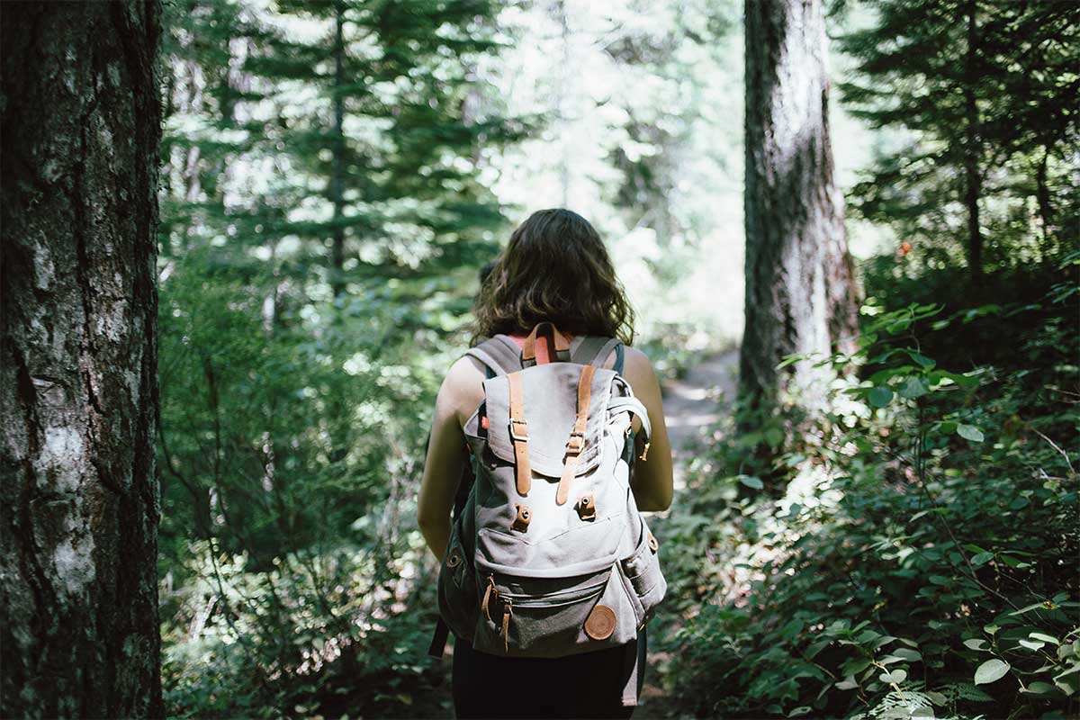 Trekking And Hiking